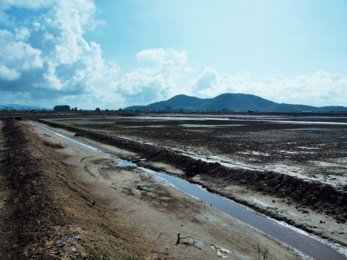 salt fields kep cambodia