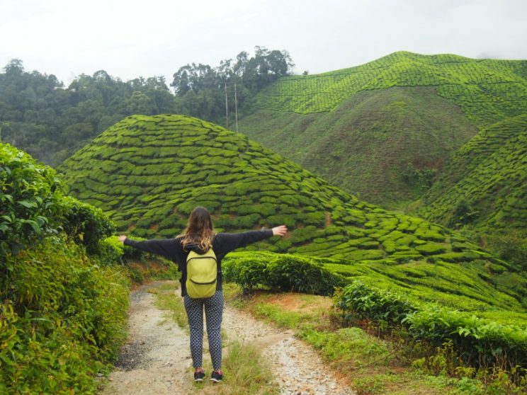 visite des plantations de thé Cameron Highlands Malaisie smilingandtraveling