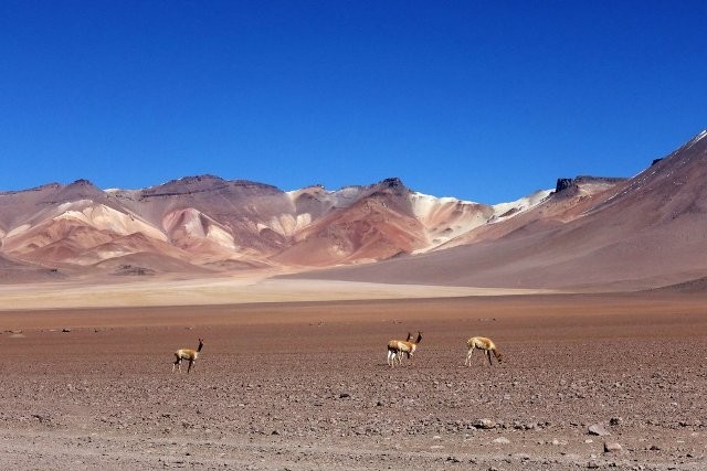 Le Lipez, Bolivie, salar d'uyuni, voyage