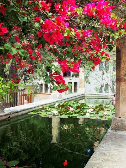 Jardin Bisbeu - Que visiter à Palma de Majorque