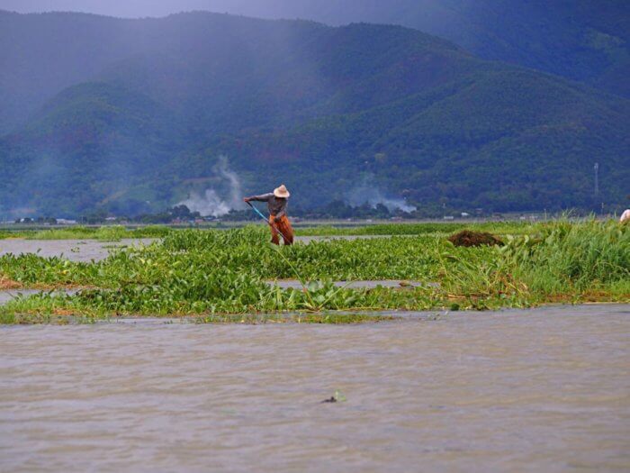 pecheur sur le lac inle au Myanmar