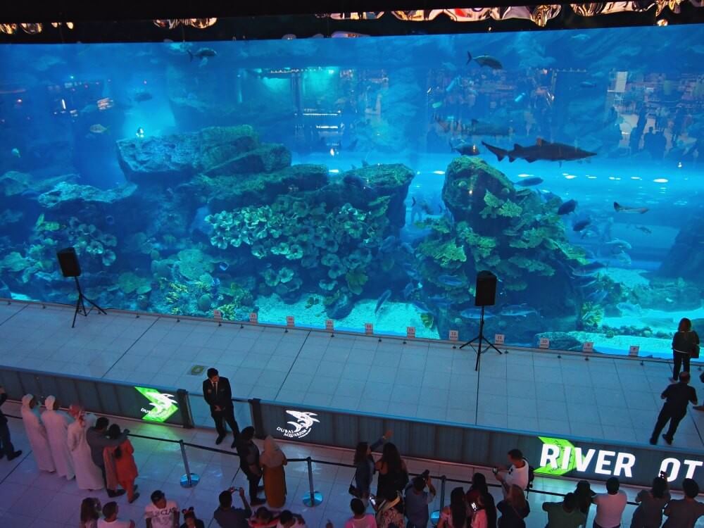 Aquarium - Dubai Mall