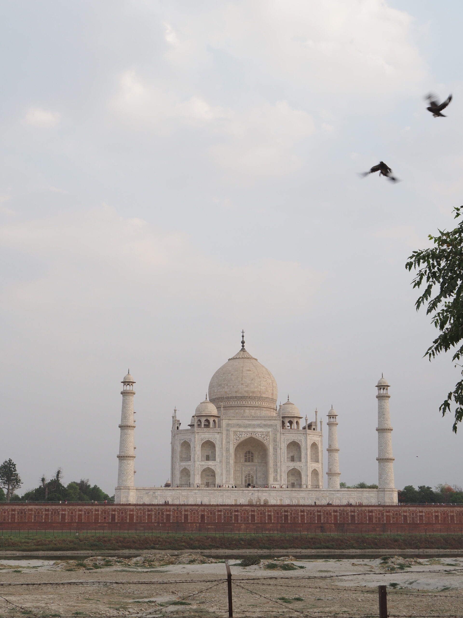 Mehtab Bagh : meilleur point de vue sur le Taj Mahal à Agra