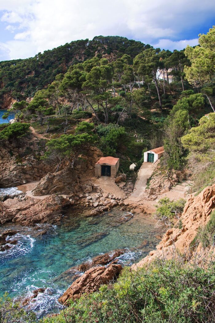 beach cove near mountain with green trees