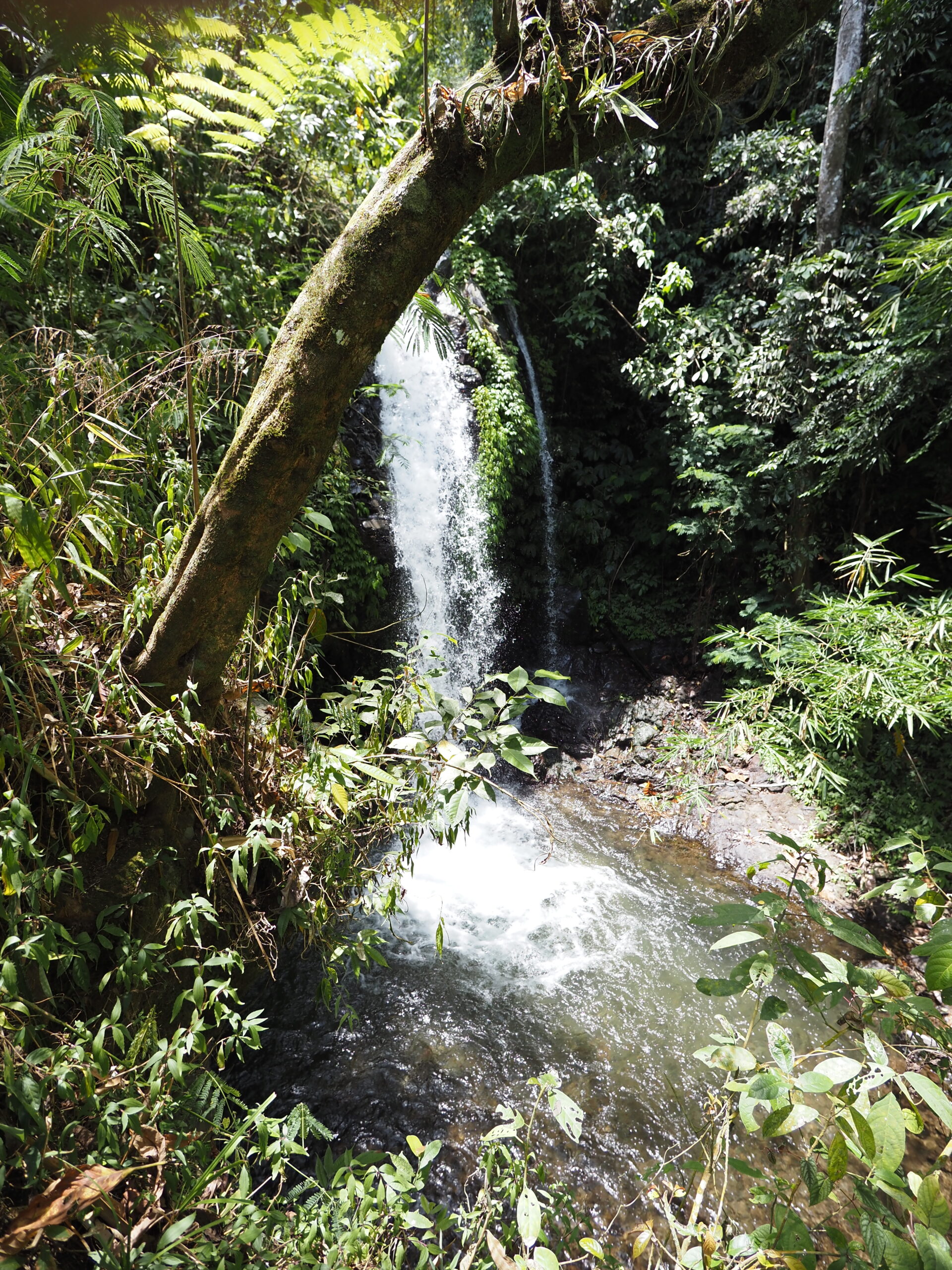 belong waterfall, bali