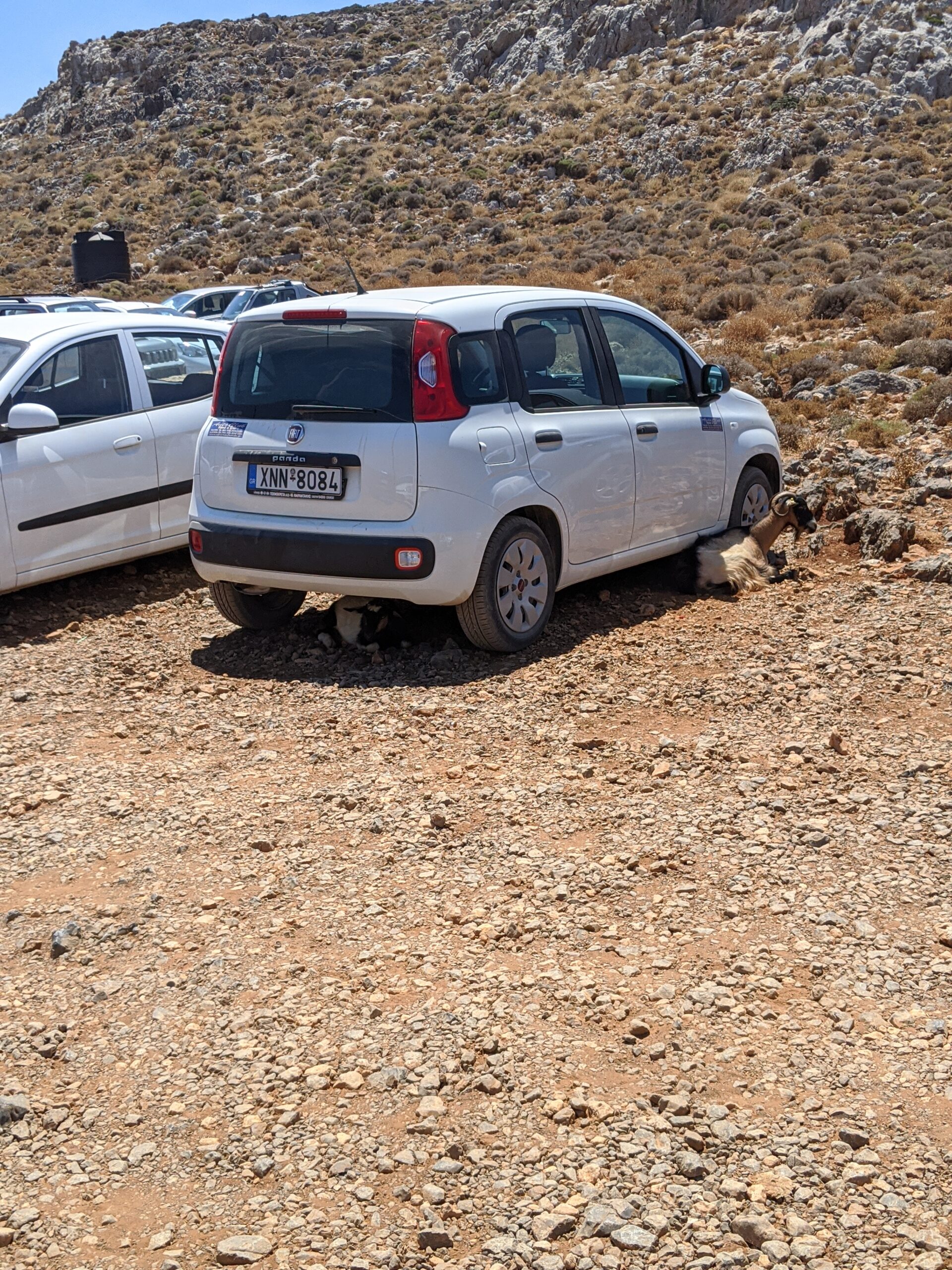 chèvres parking balos beach