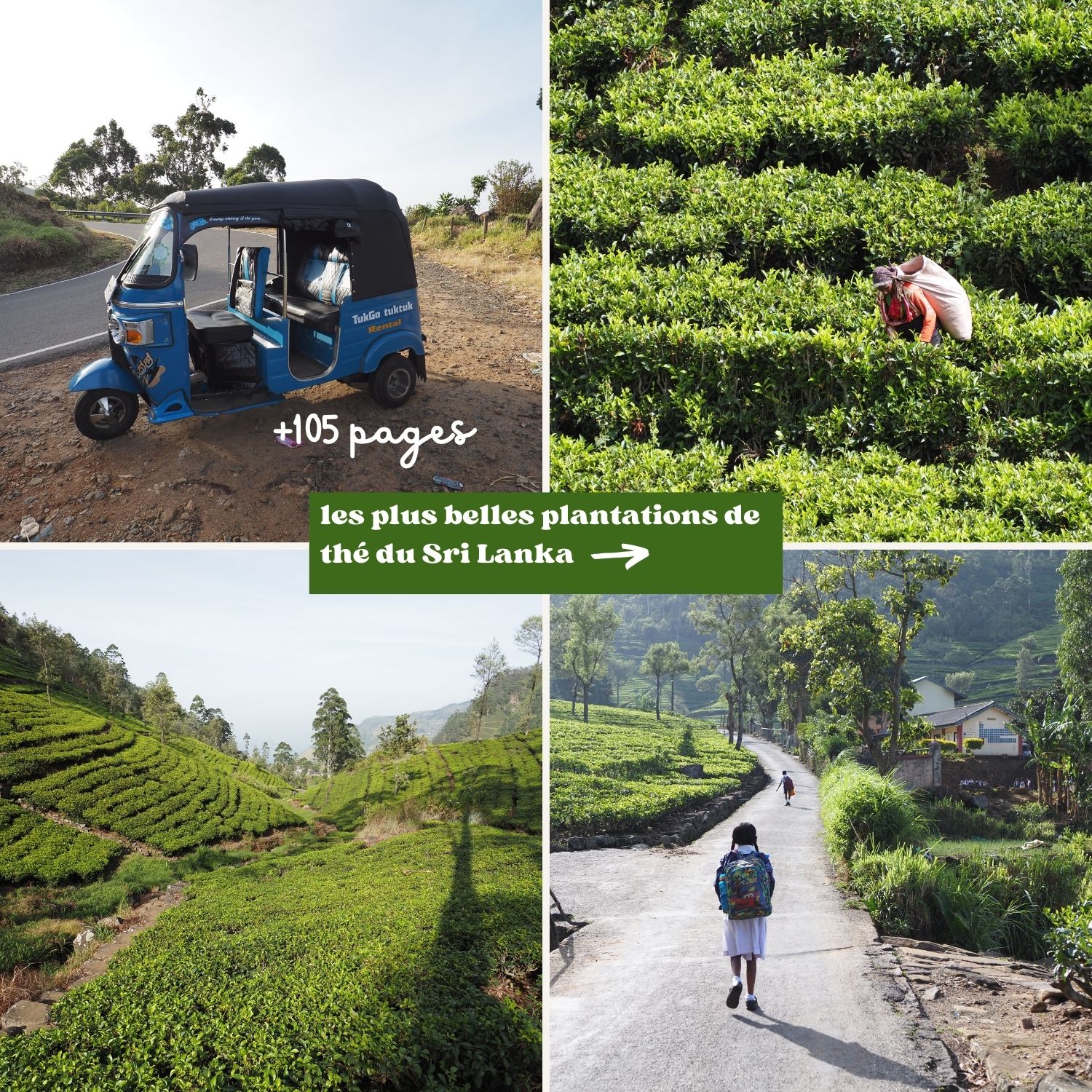 Le Guide du Sri Lanka : itinéraires, conseils, bonnes adresses... – Image 5