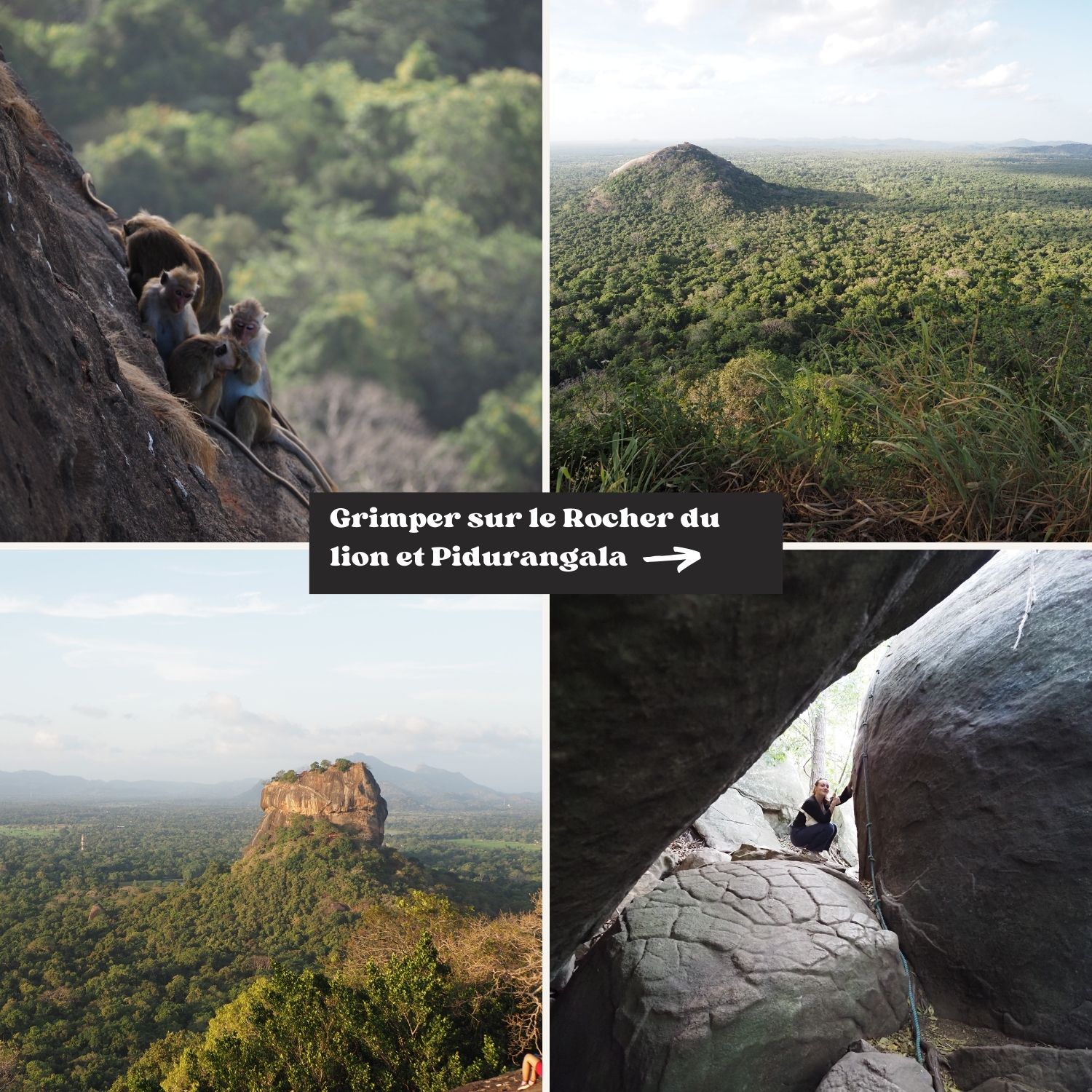Le Guide du Sri Lanka : itinéraires, conseils, bonnes adresses... – Image 8