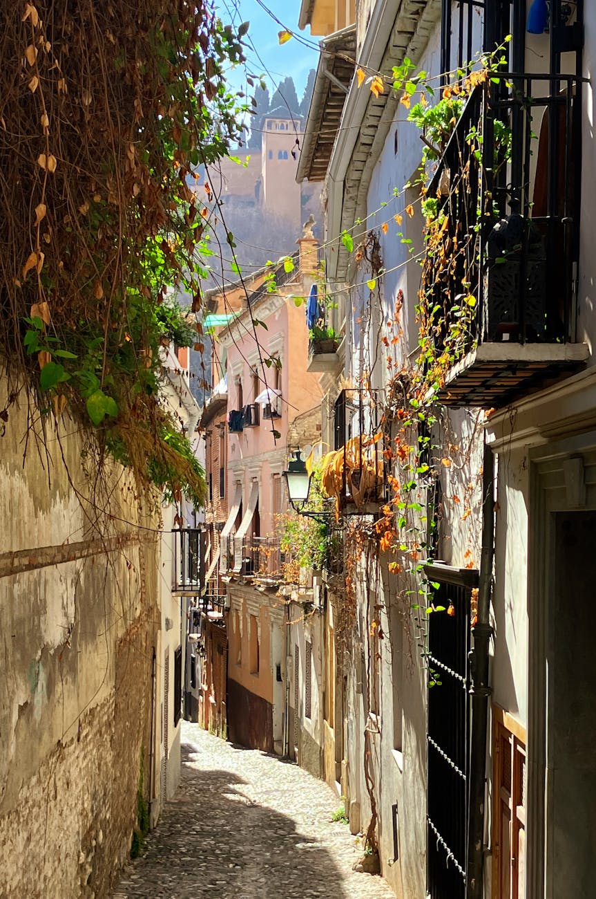 charming granada street with alhambra view